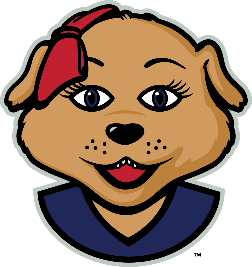 Arizona Wildcats 2013-Pres Mascot Logo v2 iron on transfers for T-shirts